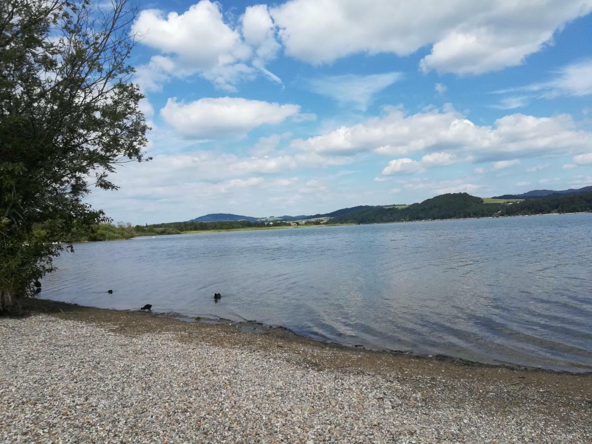 Am See 90 Seekirchen am Wallersee Exteriér fotografie